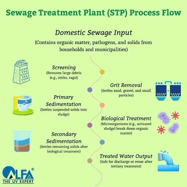 ETP vs STP: Key Differences in Treatment